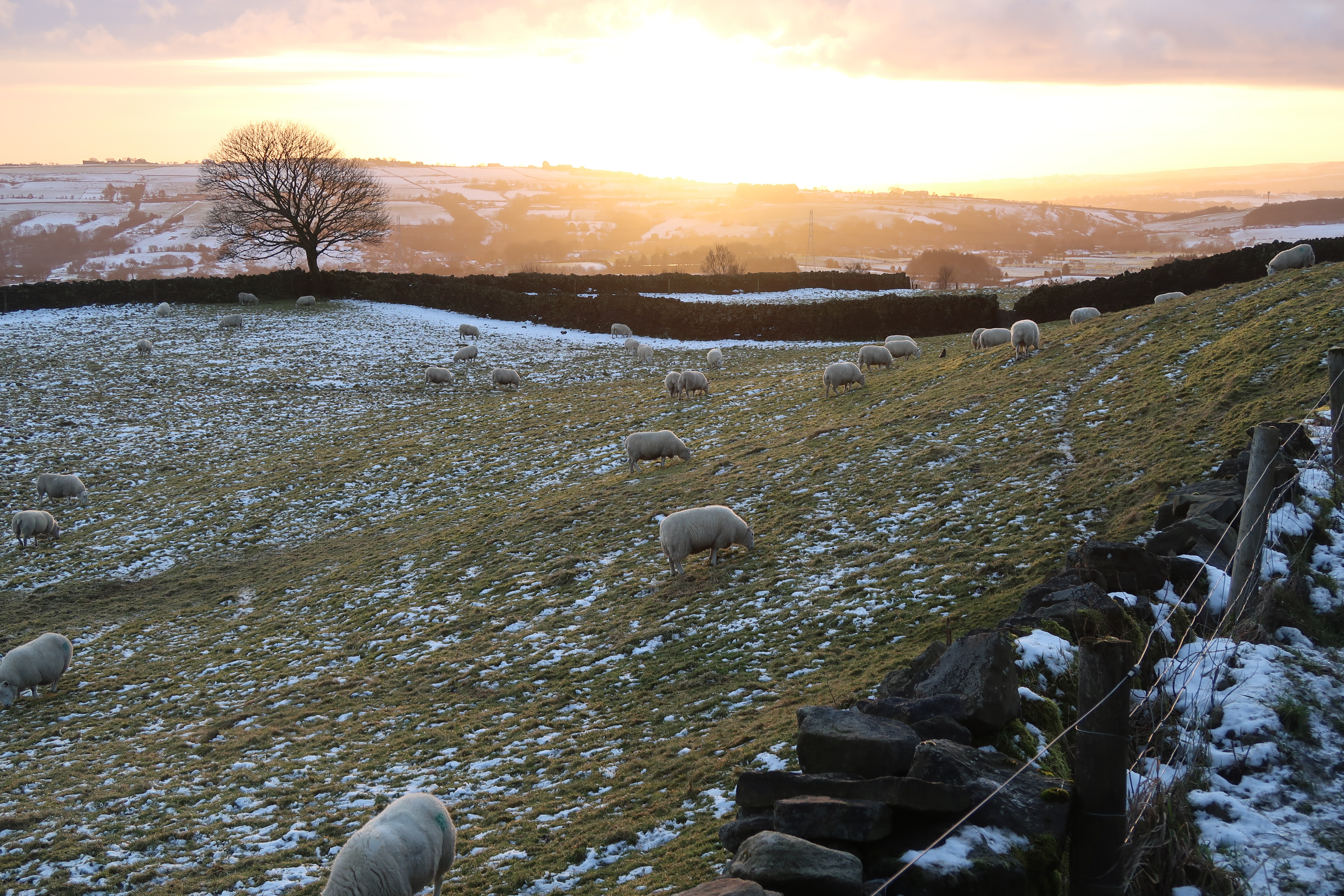 Walk and talk location near Bury